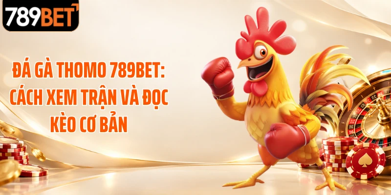 Đá Gà Thomo 789BET: Cách Xem Trận Và Đọc Kèo Cơ Bản