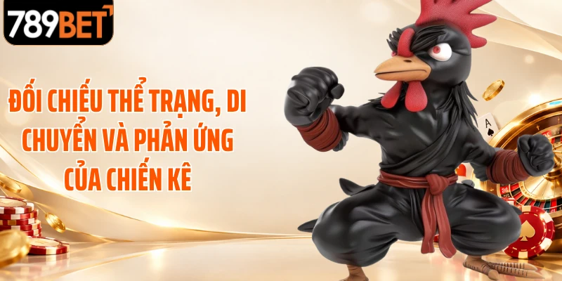 Đối chiếu thể trạng, di chuyển và phản ứng của chiến kê